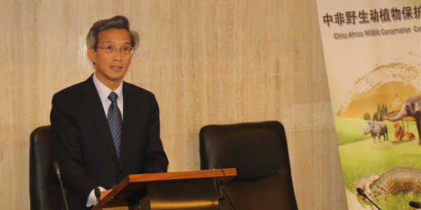 Ambassador Lin Songtian Ambassador Lin Songtian
